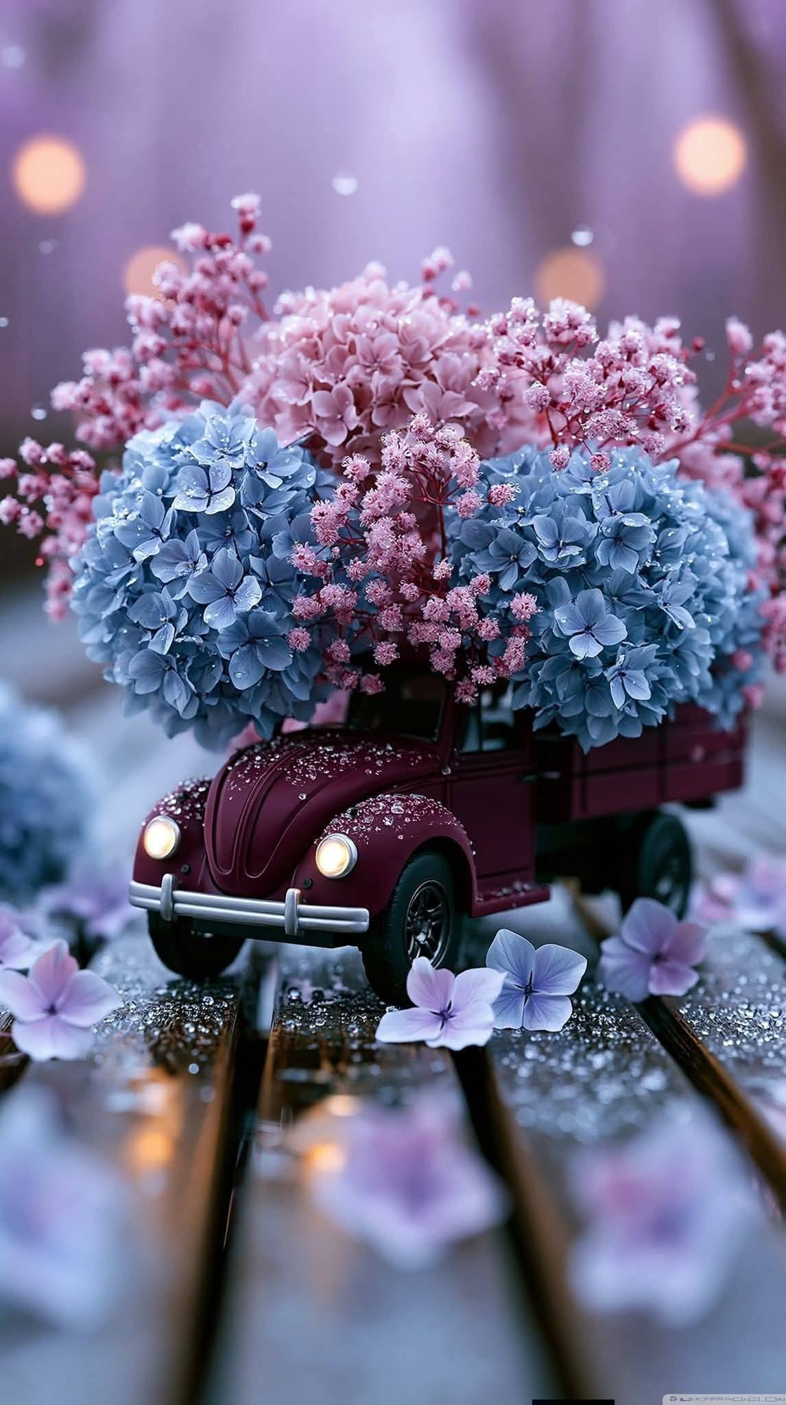 d2ce1ca9828dd9313ca1d52fe3b537f4