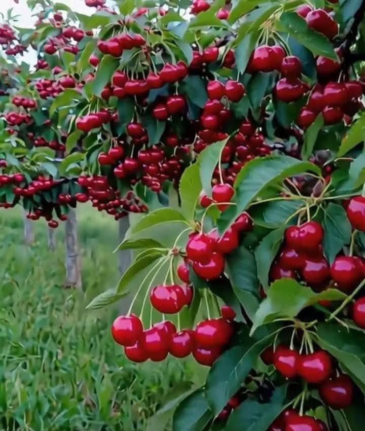 530ef3f7b5941b0b50984d87ce06248b