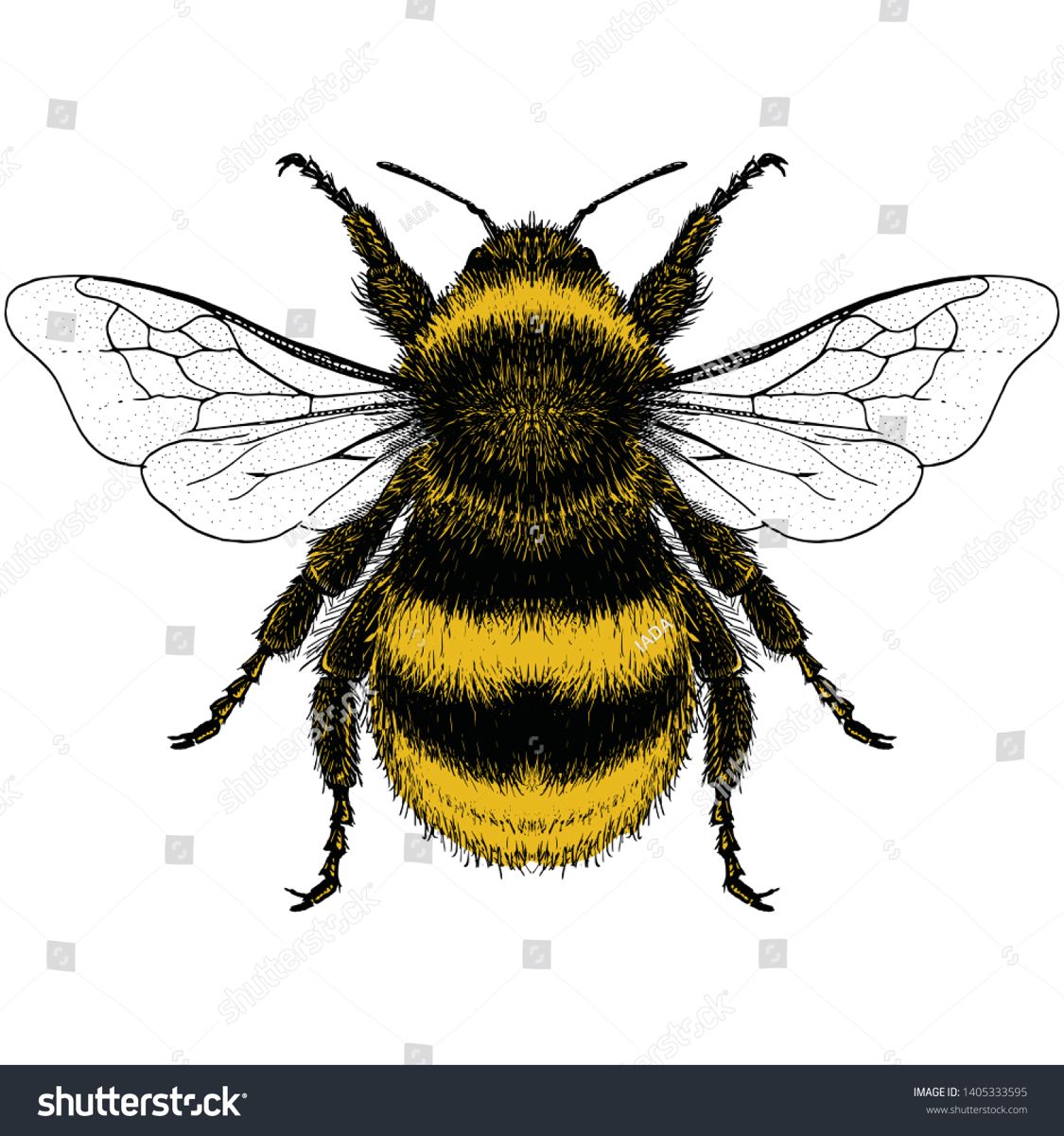 bdf04c90d1c6ba1060efc12dd0984bf8