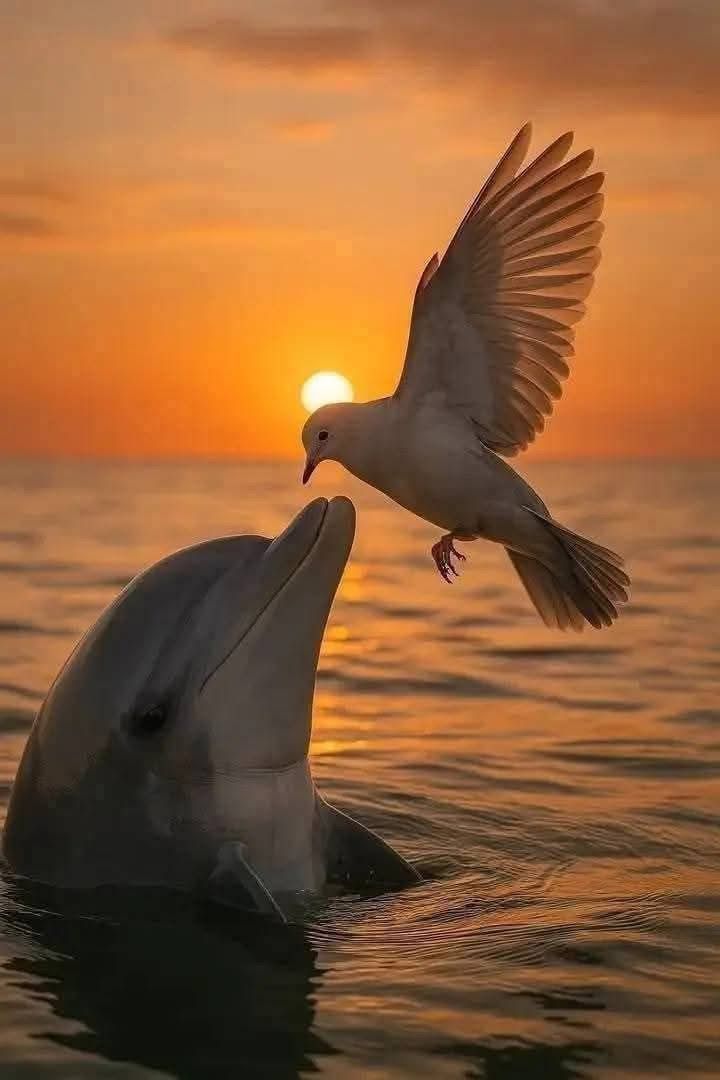 ebb614348809dbf1e3fac440ce933f7c