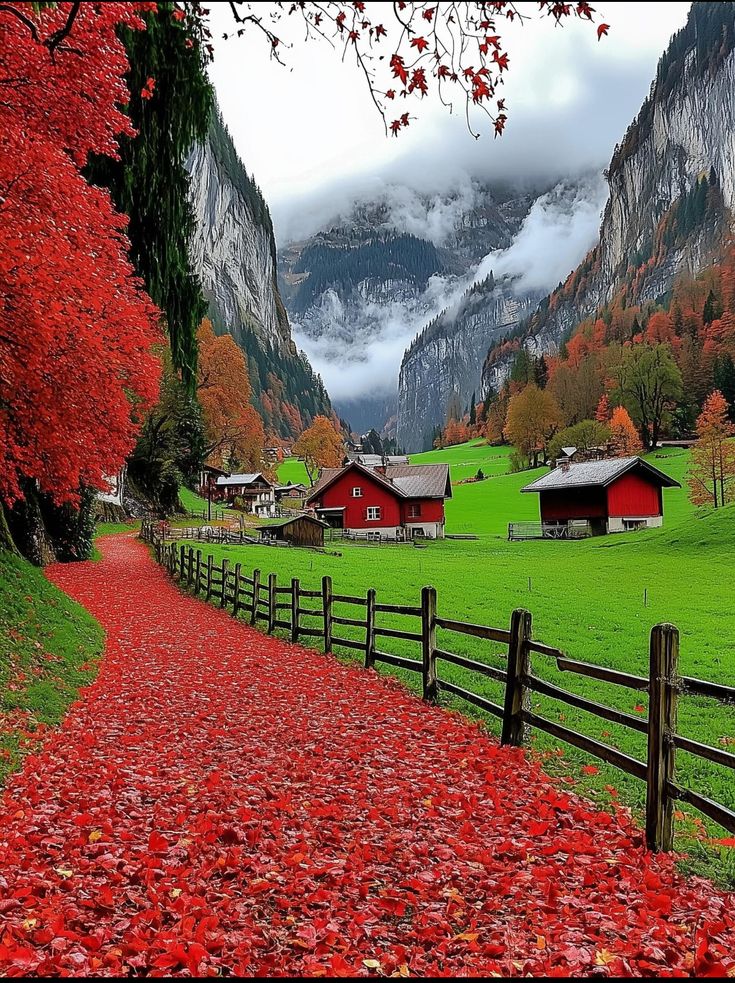 3503a28df288677d967c90ad72000efd