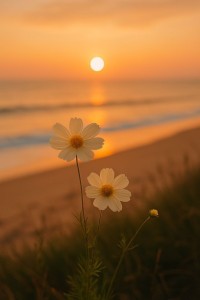 0e4b89d71c30b205abef10275e5b1cbb