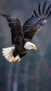 40df2c5c0e1d20d88a2bcf6cdba79fba
