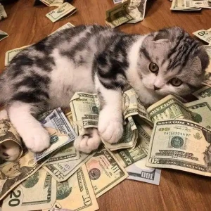 balipoker_gambar