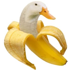09d1835473925ba09f996a1939f4d52f