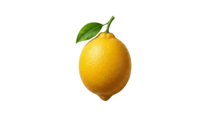 LEMON212_ICON_-_Link_Daftar_Login_Resmi_Bebas_Hambatan_24_Jam