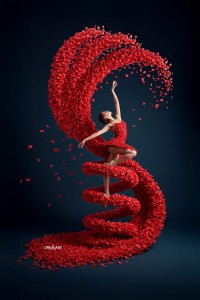 16053f32eae6d734187a2b93fe831c70
