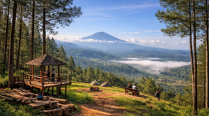 Bukit-Cemara-800x445