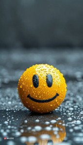 ef45c33fcccbcc8fb07da33338cc7d3f