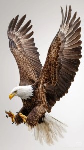 1094f54534f045b3b2958035ae1fb923
