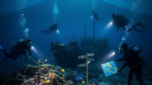 Night-snorkeling-800x445