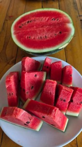 fa7d627667a7d068d5e699525a322206