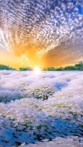 b811ed1c51ef7bb254915891e0a4cd06
