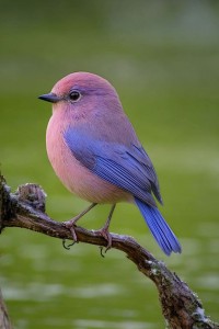 31f7418666538e4dc09c2cfe0da91f2b