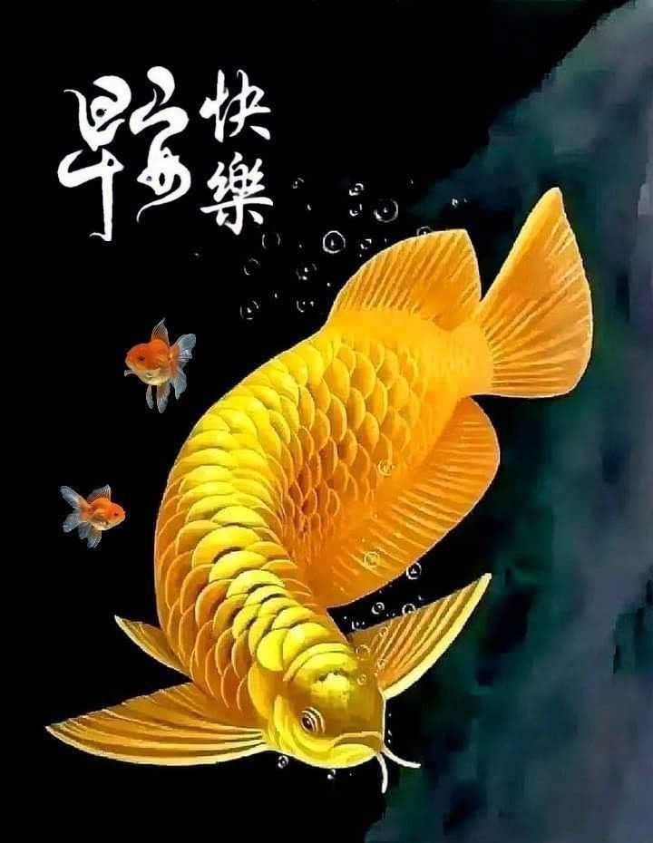 b6bc460ab815055e95bd9701dc03c426